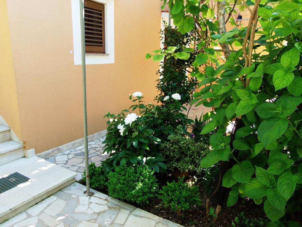 Apartments Beba Mali Losinj Phòng bức ảnh