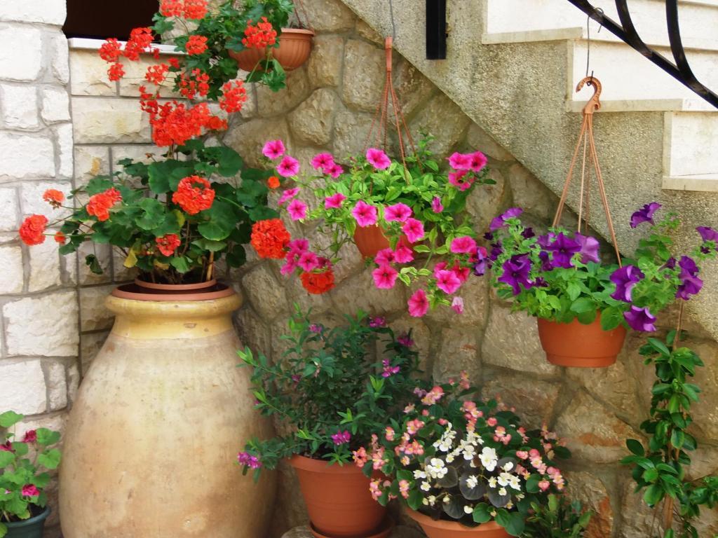 Apartments Beba Mali Losinj Phòng bức ảnh