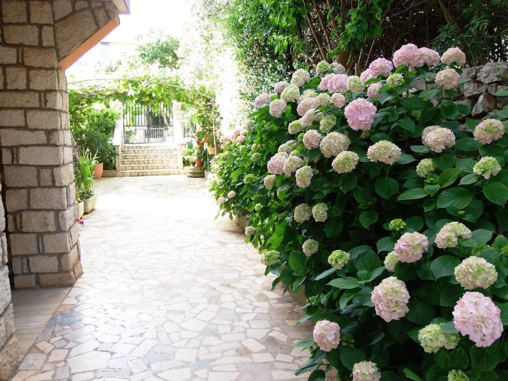Apartments Beba Mali Losinj Phòng bức ảnh