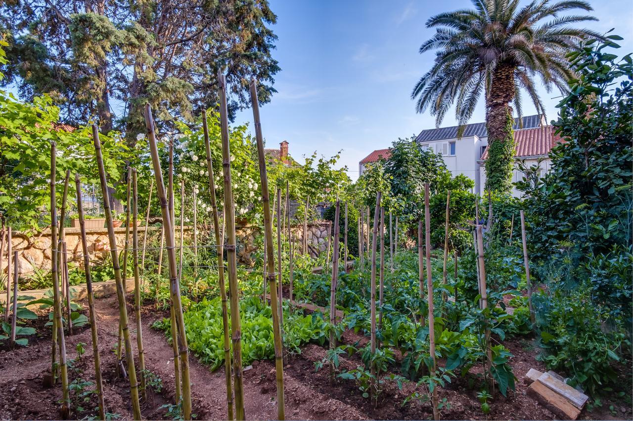 Apartments Beba Mali Losinj Ngoại thất bức ảnh